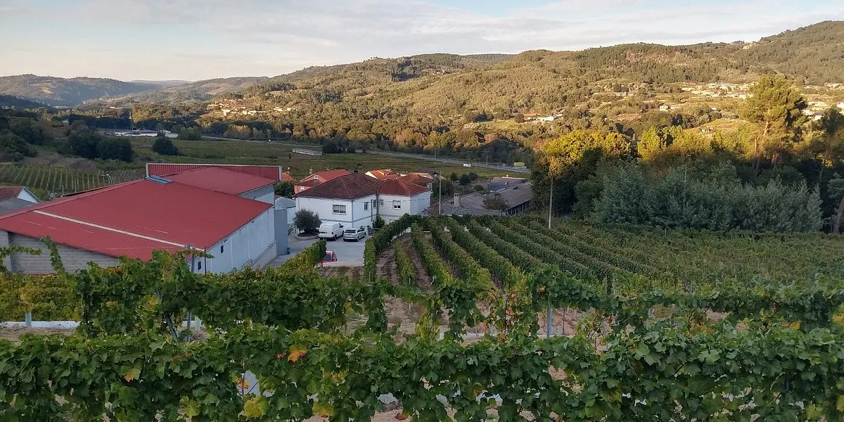 bodega-senorio-de-beade Bodega Ribeiro