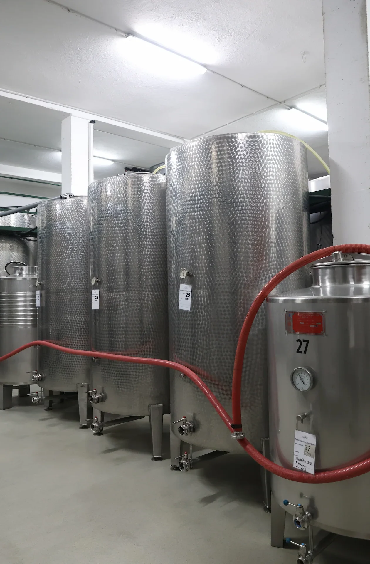 bodega ribeiro Ourense